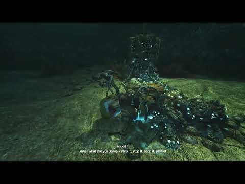 Soma - Killing Robin