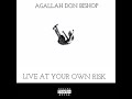 8.Agallah Don Bishop - A Propain Dream Ft. The Propain Singers (Daisy and Deserae)