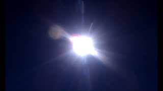 The Government Shutdown