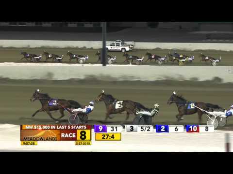 Meadowlands February 27, 2015 - Race 8 - Spider Blue Chip