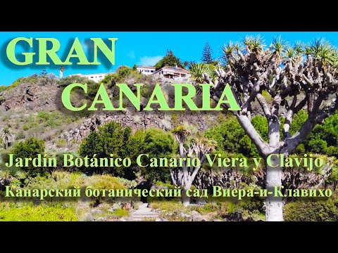 Jardim Botânico Canario Viera y Clavijo