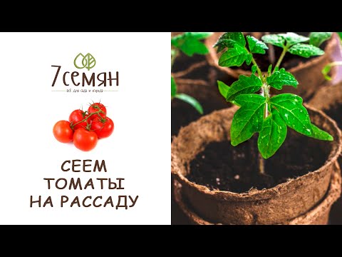 биография ларисы зарубиной садовый гид. Смотреть фото биография ларисы зарубиной садовый гид. Смотреть картинку биография ларисы зарубиной садовый гид. Картинка про биография ларисы зарубиной садовый гид. Фото биография ларисы зарубиной садовый гид биография ларисы зарубиной садовый гид. Смотреть фото биография ларисы зарубиной садовый гид. Смотреть картинку биография ларисы зарубиной садовый гид. Картинка про биография ларисы зарубиной садовый гид. Фото биография ларисы зарубиной садовый гид