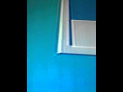 Miss LaToya Alexander the diva the boss chick