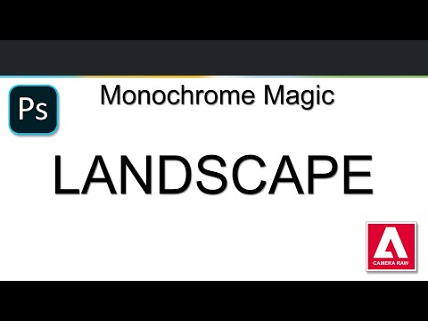 008 Monochrome Landscape