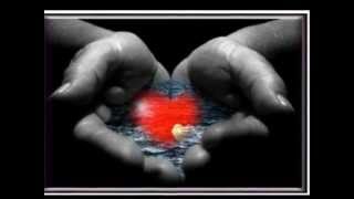 Nos mains ( Jean-Jacques Goldman ).wmv