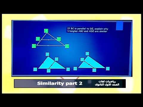 رياضيات لغات الصف الأول الثانوي 2020 ترم أول الحلقة 5 - Similarity part 2