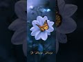 Rasiga Rasiga Song WatsApp Status In Tamil Love Theme Love Status In Tamil