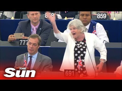Ann Widdecombe's explosive rant at the EU Parliament