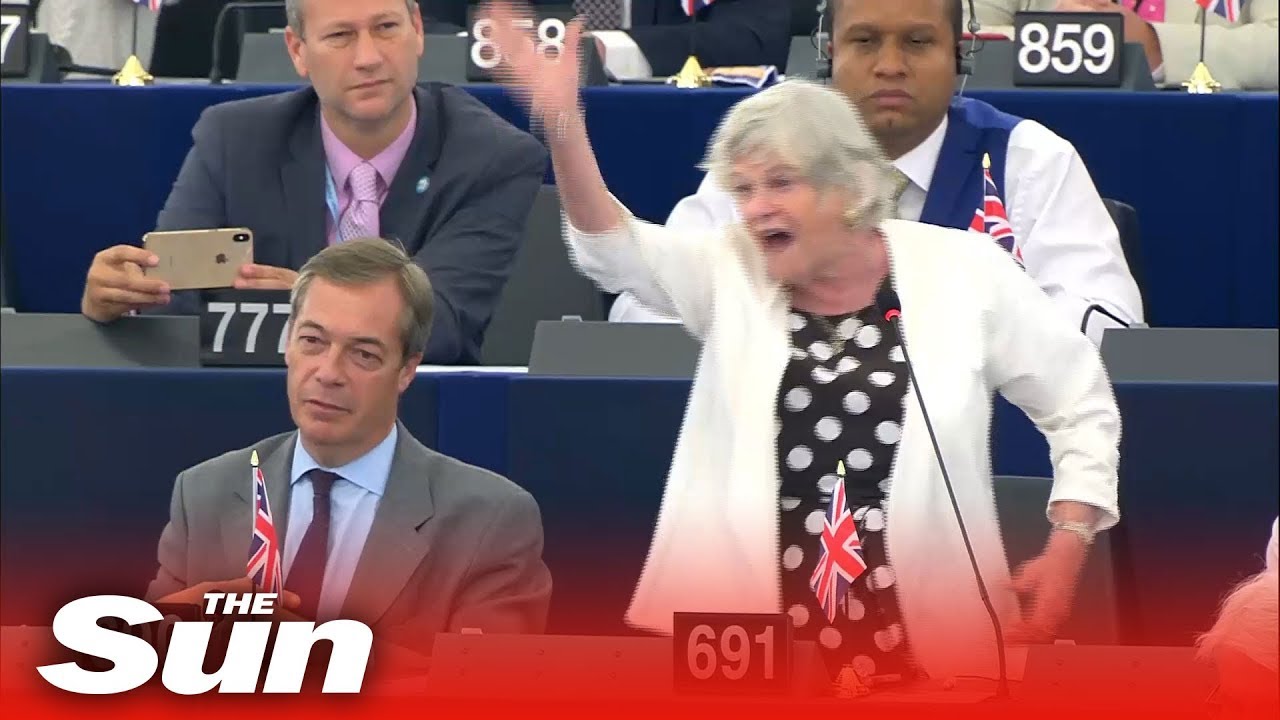 Ann Widdecombe's explosive rant at the EU Parliament