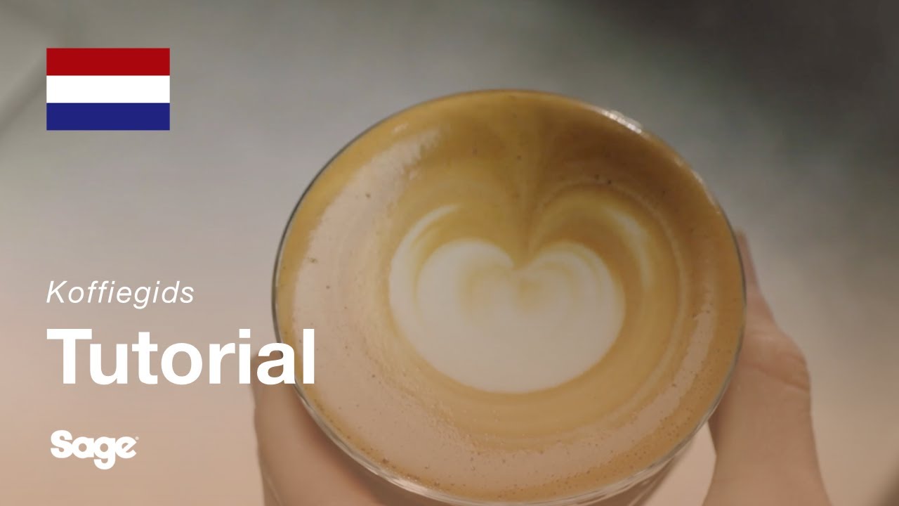 Instructiegids Breville koffie - Hoe latte art te maken: de stip