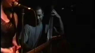 Geraldine Fibbers-The Small Song (live)