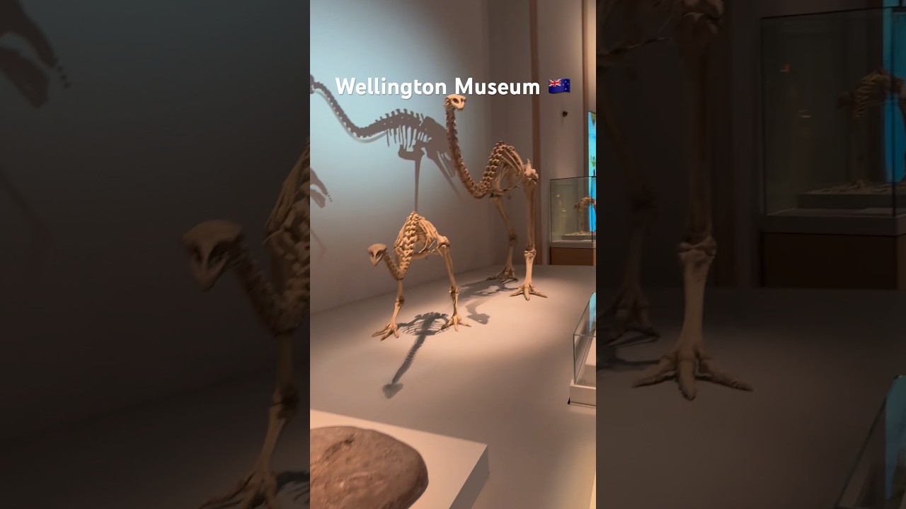 YouTube Short thumbnail