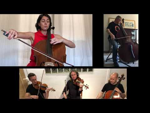 Rubinstein Melodia en Fa / Orfilia SAIZ VEGA