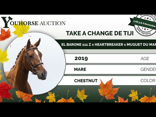 Take a Change de Tiji showvideo