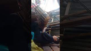 Download lagu Gondang Bolon...Pasahat Ulos Holong...bersama Saroha Group...Parsarune Termuda Choki Malau...mantap. mp3