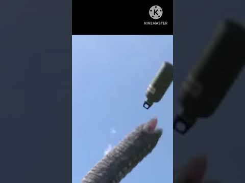 #animals #youtubeshorts #youtubevideo #vairalvideo #uttam