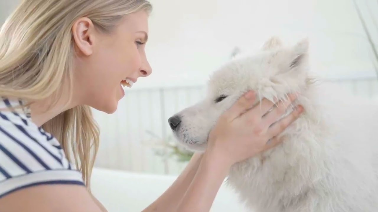 Bio-Groom Super White Shampoo