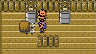 （ポケモン）シジマの岩を奪ってみた