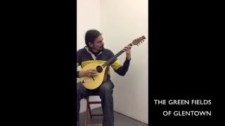 Irish Bouzoki Made by Lewis Santer, Played by Dave Cory, Tommy Peoples Tune