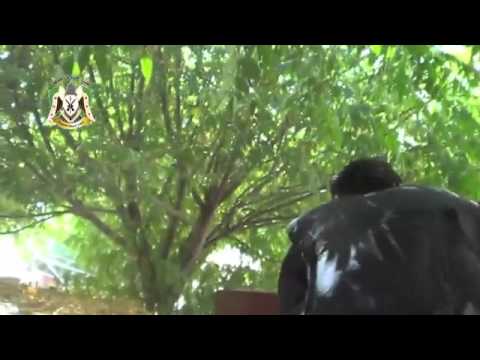 اشتباكات بين كتائب نور الغوطة وقوات النظام في مدينة دمشق