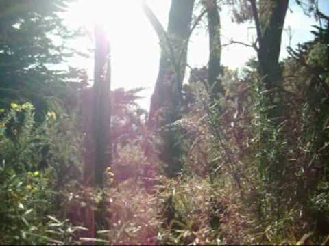 Sullen Moon - Poppy (初版)