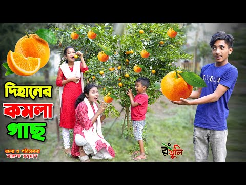 দিহানের কমলা গাছ | dihaner komola gach | bengali fairy tales | bihar | dihan | sofik |