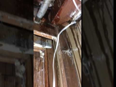 Leak in Gladstone basement rains on this homeowners day.