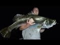 After dark - reduced LED specifically for night fishing After dark - reduced LED specifically for night fishing