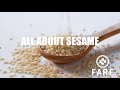 Food Allergy 101 All About Sesame