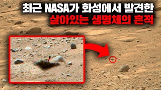 최근 NASA에 의해 실제로 발견된 화성의 생명체 흔적과 징후들 [미스터리]