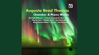 Six Piano Etudes for Solo Piano: V. Rain At Funeral - Homage to Morton Feldman