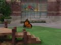 Good Day Good Night Credits Comparison Screener Vs Final Version V2 1997 Version Part 39