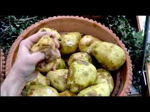 Bonjour Danny Bonjour