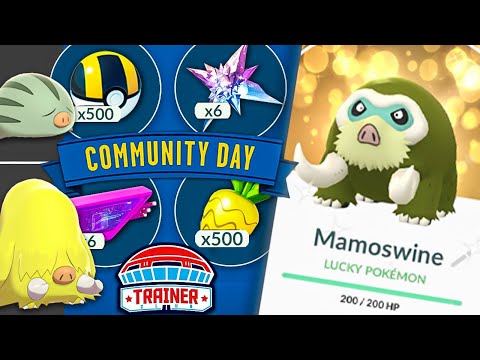 *SWINUB* Top Tips - Community Day Classic 2023 | Pokémon GO