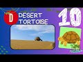 Animal Bird Names With D E F Sound Real Pictures Fascinating Creatures You Ve Never Heard Of