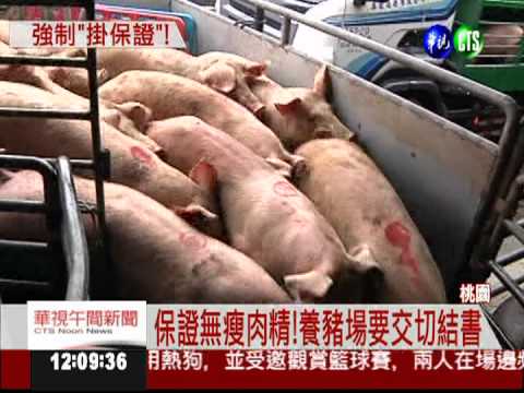 確保豬肉安全 市場要交"切結書"