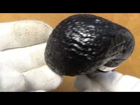 Pipa Peterson Pipe of the Year 2022 - Limited Edition n.875/925 - Sabbiata