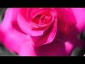 Dean Martin -La Vie en Rose - 