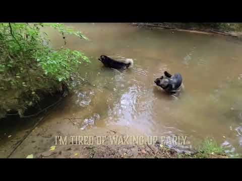 "Hell On Earth" (Official Lyric Video)