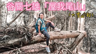 谷關七雄「屋我尾山」(大雪山段)111.08.10(feat.Eddie、Ali Lee) #谷關七雄 #大雪山 #七雄老三 #屋我尾山