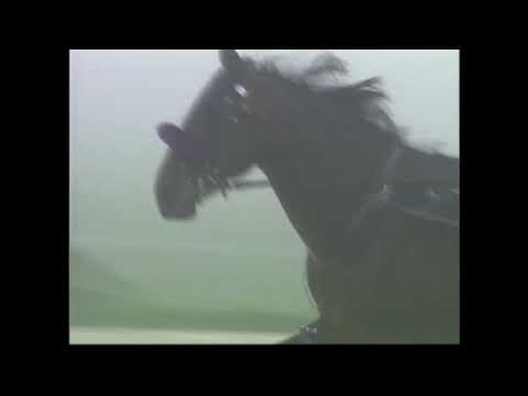 CHRHF 2013 Inductee - Niatross