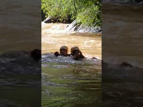 Assista como foi o resgate de mulher que caiu no rio Jucu em Marechal Floriano