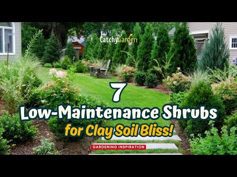 , title : '7 Low-Maintenance Shrubs for Clay Soil Bliss! 🌹🌱🍁 // Gardening Ideas'