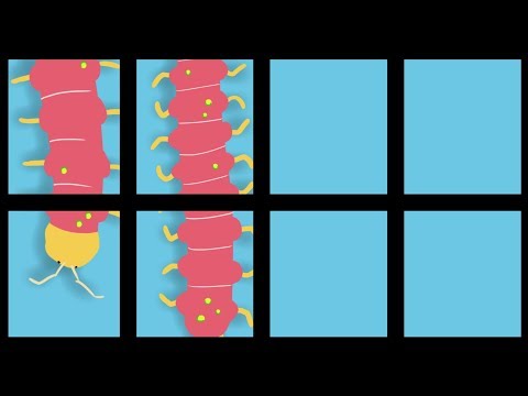 El Abrazo del Ciempiés (Un Bosque EnCantado 2)