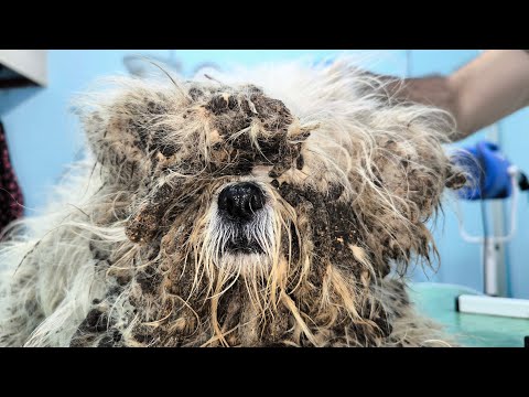 He Couldn’t Even See the World Anymore...