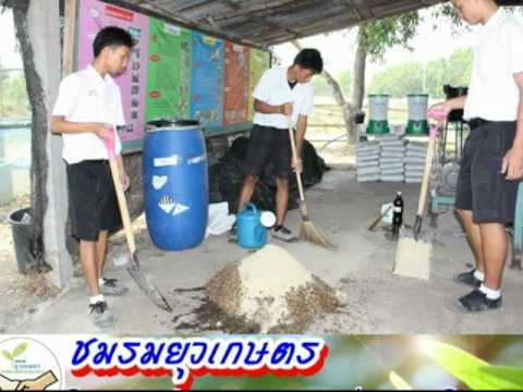 วิธีการรักษาโรคสะเก็ดเงิน อาการโรคผิวหนังภูมิแพ้