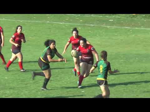 NDU 7s 2019 - 2ª Etapa Jogo 23: Federal do ABC 29 x 0 Comunicação Mackenzie