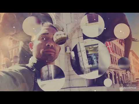 xhepi  vogel shum xheloze ti