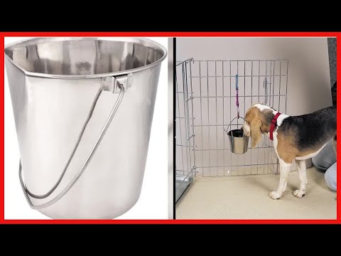ProSelect Stainless Steel Flat Sided Pails — Durable Pails for Fences, Cages, Crates, or Kennels