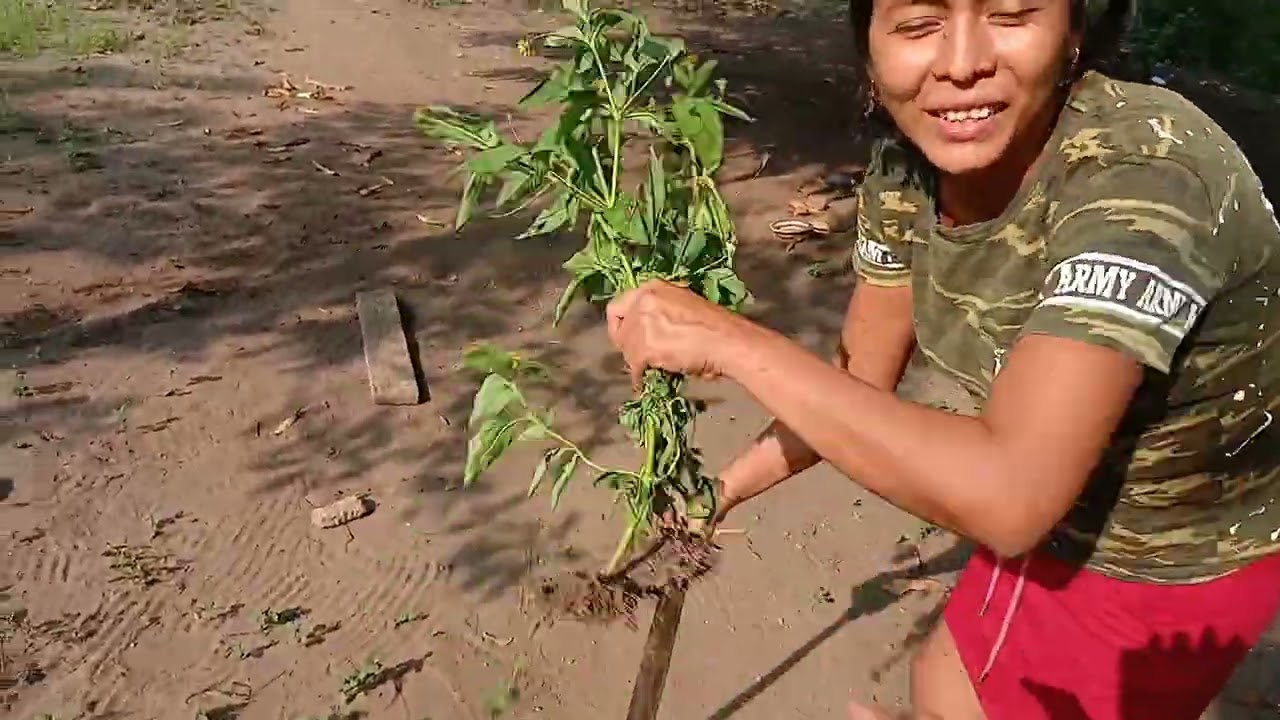 Amalia por fin hace algo por su hogar